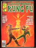 Deadly Hands of Kung Fu #24 CGC graded 9.4 - Bob Larkin cover - Iron Fist pin-up