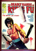 Deadly Hands of Kung Fu #28 CGC graded 9.4 - special Bruce Lee issue - Ken Barr cover