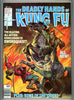 Deadly Hands of Kung Fu #30 CGC graded 9.8 - Earl Norem cover HIGHEST GRADED