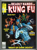Deadly Hands of Kung Fu #31 CGC graded 9.6 - Bob Larkin cover - guests galore
