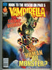 Vampirella #70 CGC graded 9.4 - Kelly cover - Rook appearance