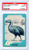 1961 Nu-Cards Dinosaur Series #69 PSA GRADED 9 - SOLD!