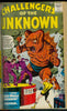 Challengers of the Unknown #01 THRU #22 NEAR MINT- (bound book)