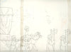 Original production cel -"Aladdin"- by Golden Films 037 OVER-SIZED 31" x 10"