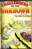 Challengers of the Unknown #01 THRU #22 NEAR MINT- (bound book)