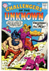 Challengers of the Unknown #13   VF/NEAR MINT   1960