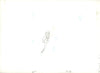 Original production cel -"Little Mermaid"- by Golden Films 103 LARGE