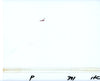 Original production cel -"Pinocchio"- by Golden Films 116