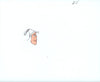 Original production cel -"Sinbad"- by Golden Films 126