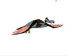 Original production cel -"Sinbad"- by Golden Films 241