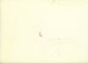 Original production cel -"Sinbad"- by Golden Films 357 SIZE 17" x 9"