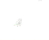 Original production cel -"Thumbelina"- by Golden Films 085