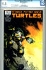 Teenage Mutant Ninja Turtles #45  CGC graded 9.8 - R.I.C. - HG - SOLD!
