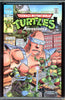 Teenage Mutant Ninja Turtles Adventures #3 CGC graded 9.8 - HIGHEST GRADED - SOLD!