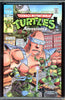 Teenage Mutant Ninja Turtles Adventures #3 CGC graded 9.8 - HIGHEST GRADED